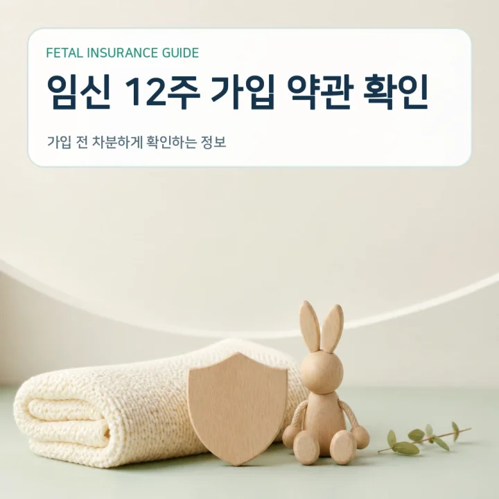 태아보험 임신 12주 가입 약관 확인