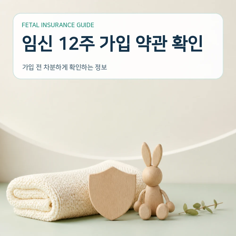 태아보험 임신 12주 가입 약관 확인