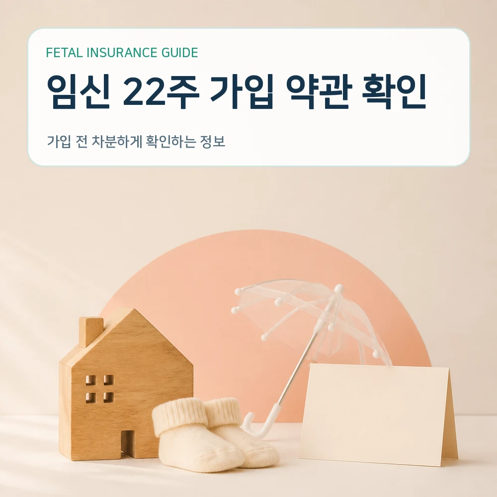 태아보험 임신 22주 가입 약관 확인