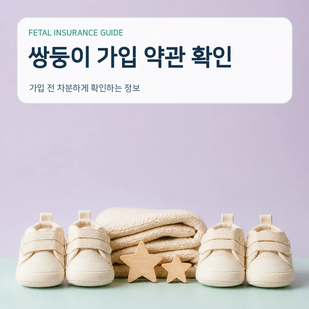 태아보험 쌍둥이 가입 약관 확인