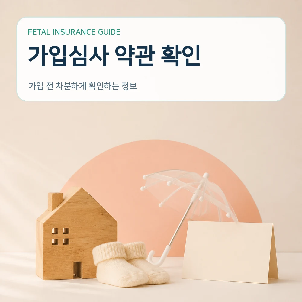 태아보험 가입심사 약관 확인
